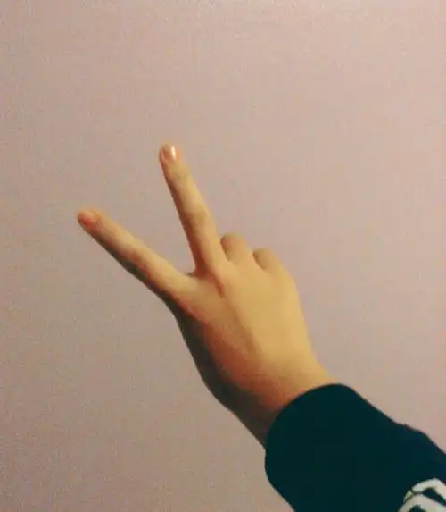 简单剪刀手美手