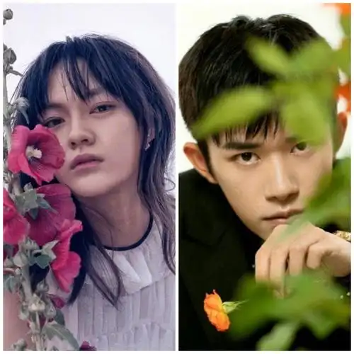 新版重庆森林备案立项易烊千玺文淇搭档谁又是你心中的一万年