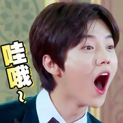 真人逗比表情包认真你就输啦