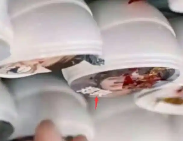 《花儿与少年》节目组搞事情,把郑爽放进去充数,秦岚公然吐槽|杨洋