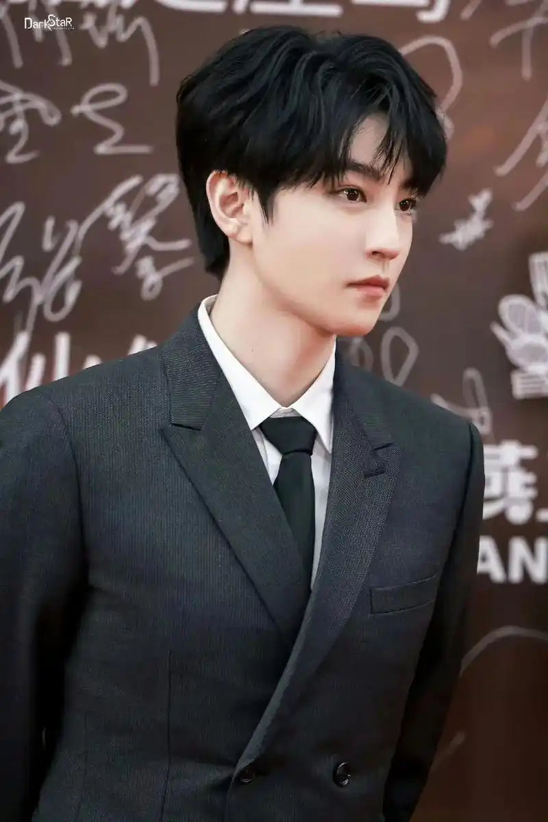 闪闪发光的大明星 你好呀.#王俊凯华表奖黑西装造型 #王俊凯 - 抖音