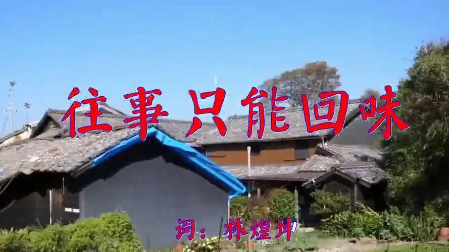 马老师沾小龙女的光街头演唱往事只能回味