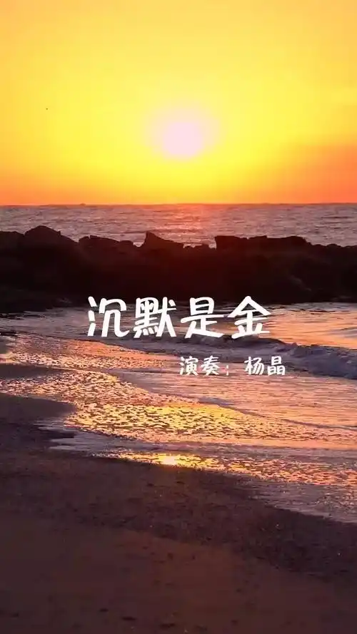 既然无人共鸣我便沉默是金一首张国荣先生的经典歌曲沉默是金送给