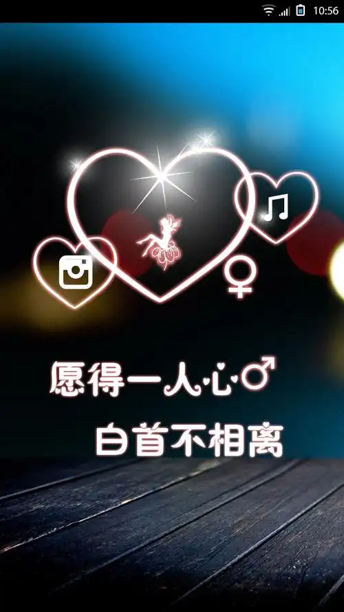 愿得一心人白首不相离