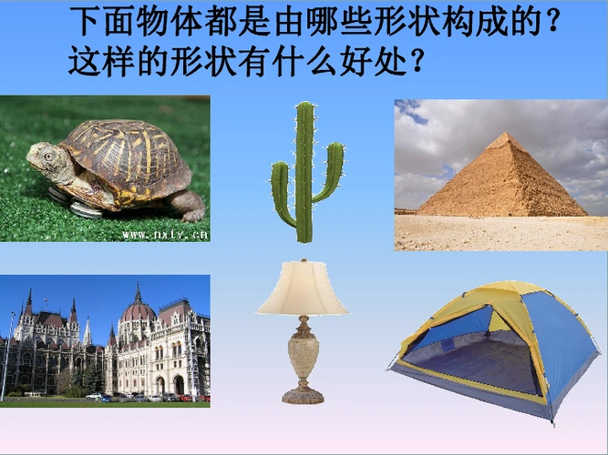 五年级下册科学课件21折形状苏教版共43张ppt