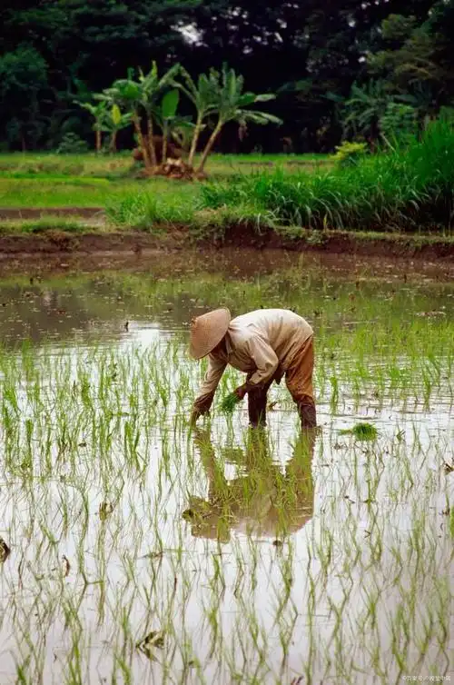 用尽全力过上普通人的生活