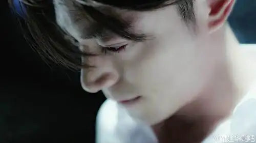 霍建华的长睫毛17mm,我就想刷个同款