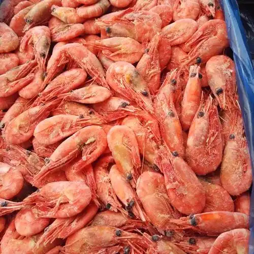 加拿大进口大红虾11斤箱装 日式刺身料理食材冷冻海产品大虾.
