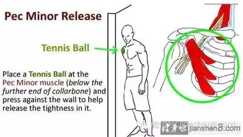 放松胸小肌:改善圆肩驼背