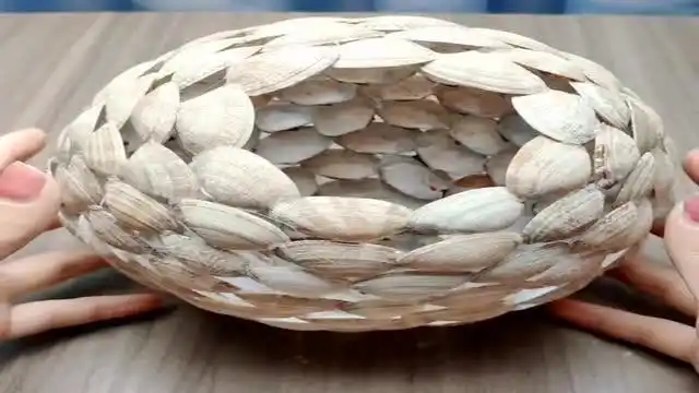 花蛤壳可不能扔了,这样制作后,竟会变成拿钱都买不到的宝贝!