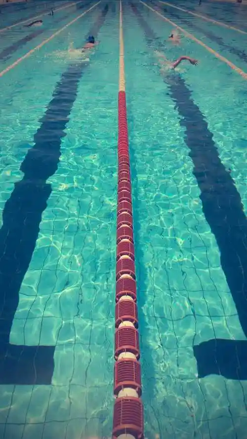 正在清澈干净的游泳池游泳的人