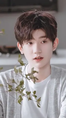 手机壁纸王源神仙背景1评论更多所有评论你也来说些什么吧