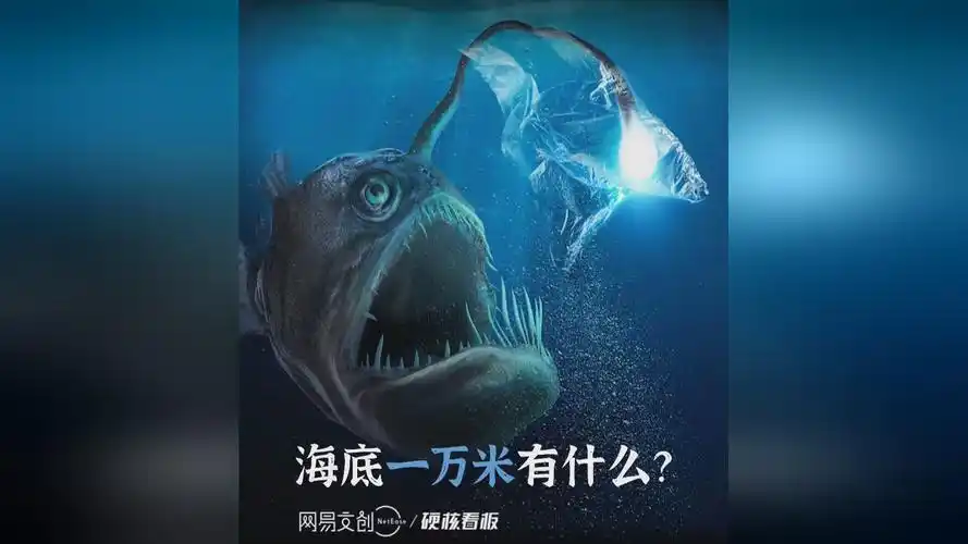 海底一万米有什么?|蛟龙号|深海|马里亚纳海沟|潜水员_网易新闻