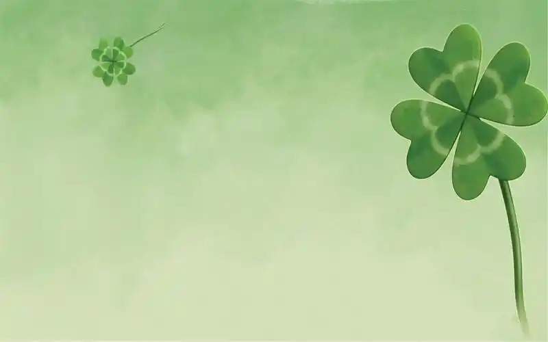 小清新唯美花朵植物高清电脑壁纸