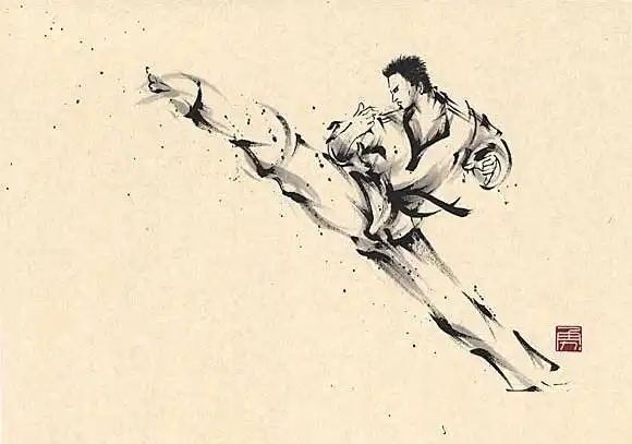 世界最强12种格斗技排名 - 黑白社会 - dove