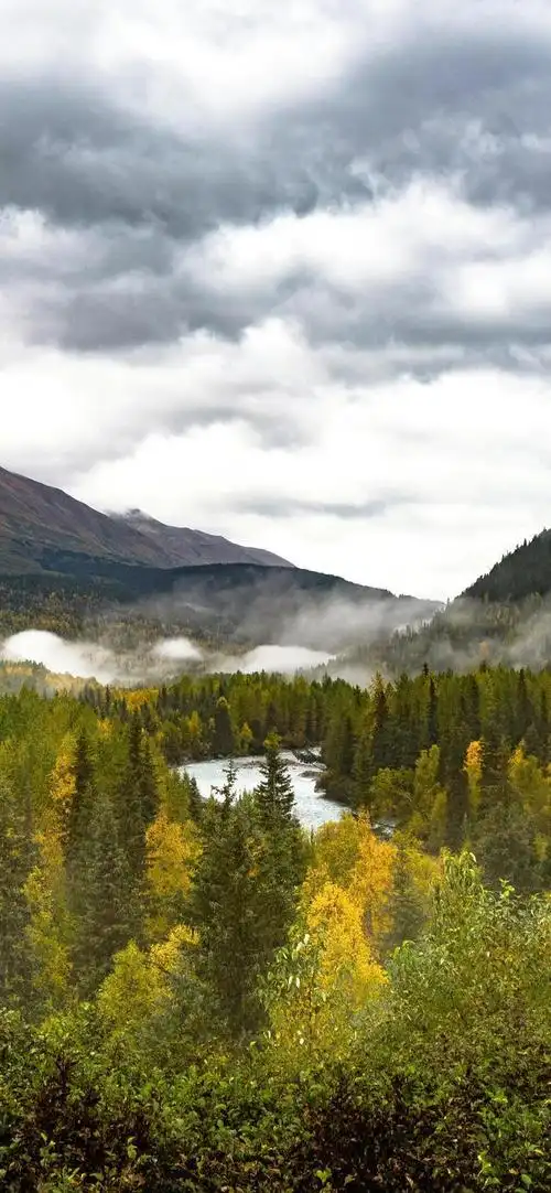 自然风景手机高清壁纸