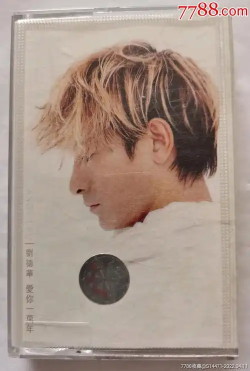 爱你一万年刘德华