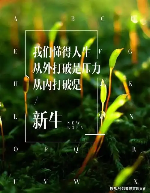 原创青春励志唯美句子简短正能量语录