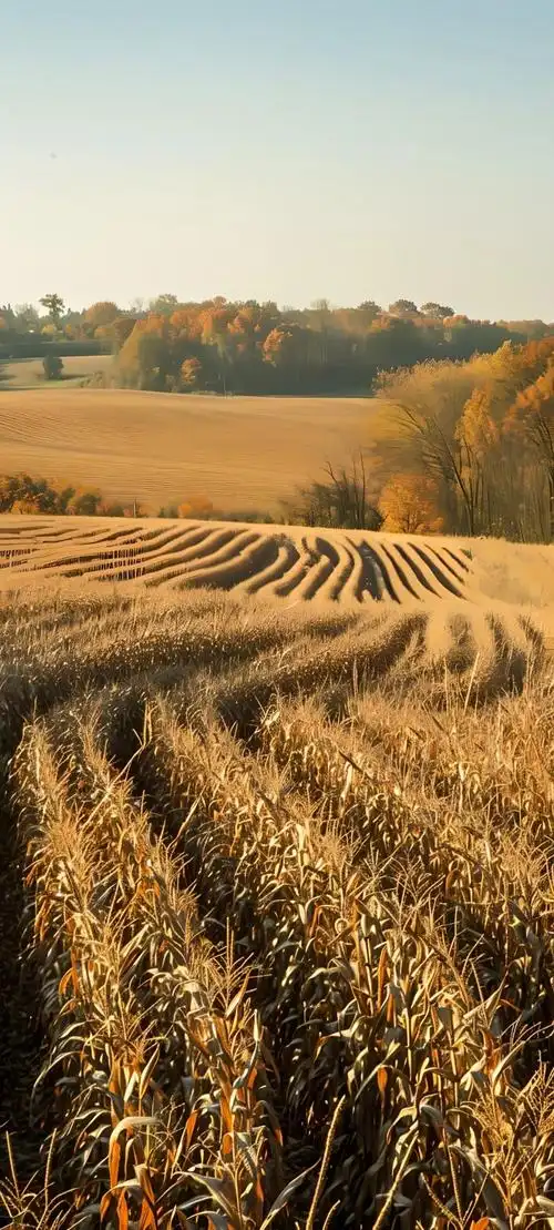 干净好看风景壁纸高清原图免费分享