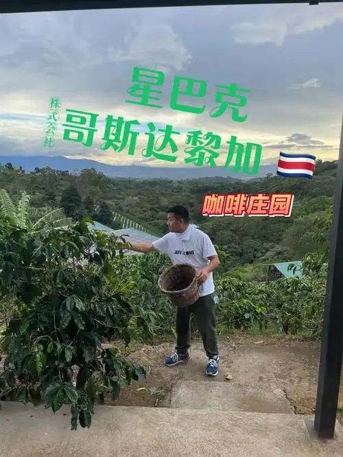 星巴克2013年收购的哥斯达黎加咖啡庄园.