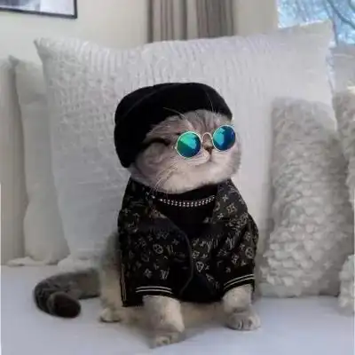 很俏皮简单可爱的猫咪可爱头像