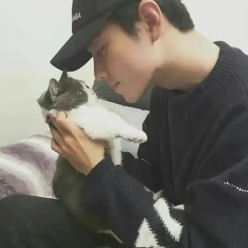 可爱爆表肖战晒爱猫羞涩合照引粉丝喊老公又是想魂穿的一天