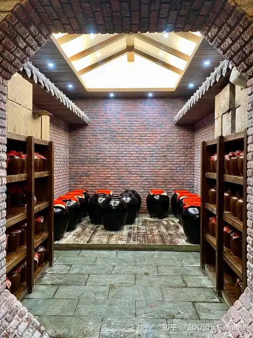 zoo园长gawaine 的想法: 外面三十度…地下酒窖好冰好潮 为了泡茶