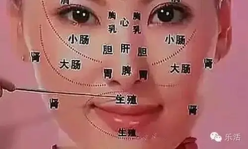 深层解析:面部长斑及痘与内脏有什么关系!