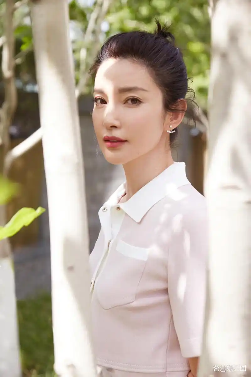 李冰冰美图写真
