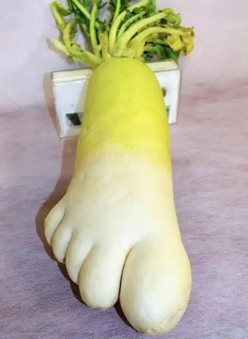 求一双正式一点的春夏女鞋!