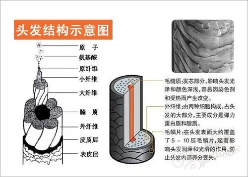 润泽本草防脱生发