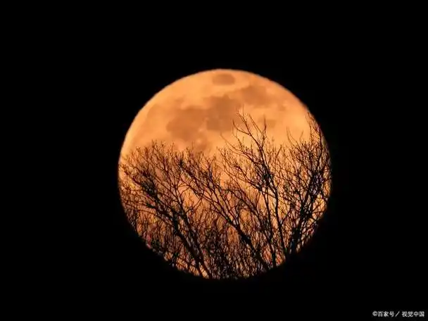 幼儿园小班《八月十五的月亮》科学领域教案