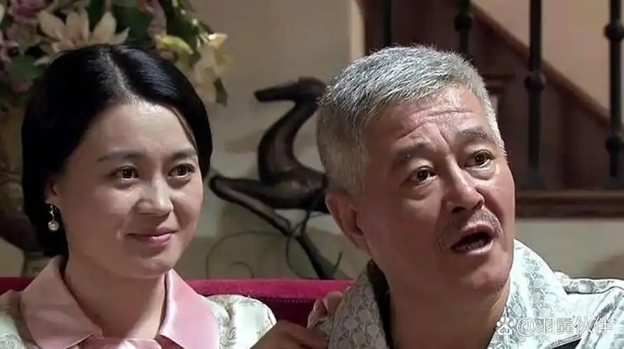 赵本山与关婷娜:一段不为人知的合作历程 赵本山与关婷娜的合作,无疑