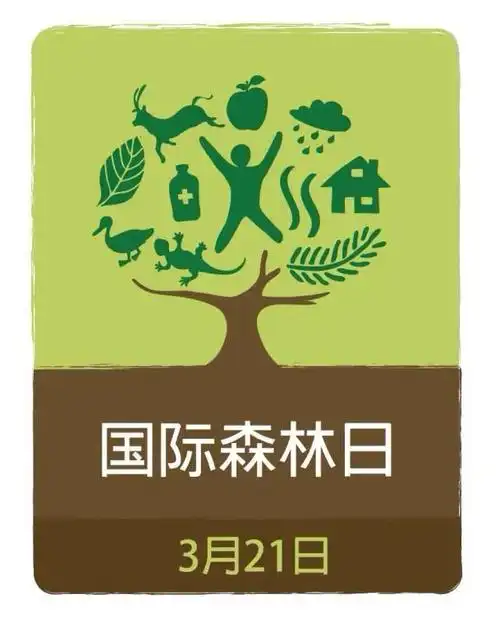 国际森林日你了解多少