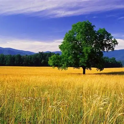 小清新唯美风景头像,太美了用了就不想换掉了