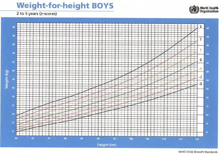 世界卫生组织2~5岁男童生长曲线