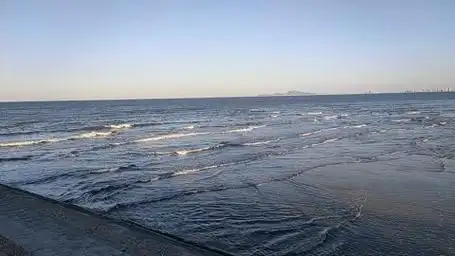 海浪泛着白色的浪花,一浪接一浪向你涌来