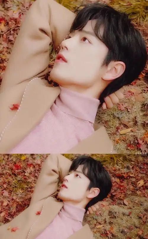 时尚芭莎|肖战 - 堆糖,美图壁纸兴趣社区