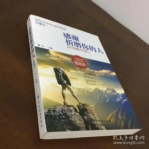 感谢折磨你的人:自己是最大的敌人 第2版