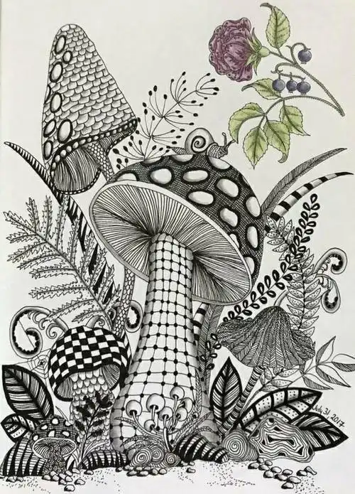 小学线描画蘑菇系列黑白线描画素材资料值得学习和借鉴