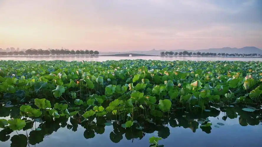 电脑壁纸 风景 烟柳画桥,绝美江南