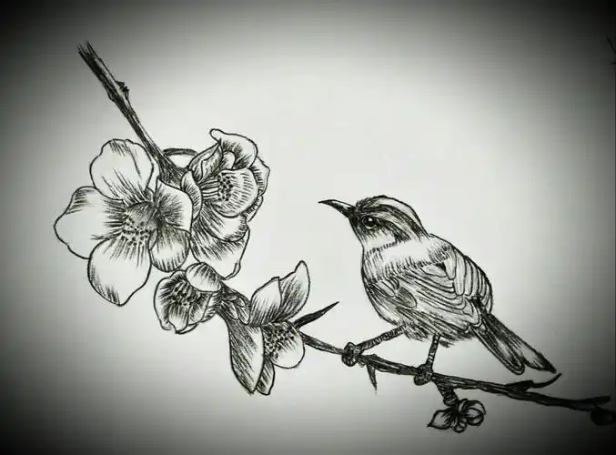 齐巧云初学铅笔画(鸟语花香篇)