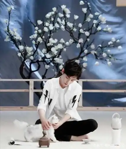 肖战的"空窗期"有它陪伴!它是一个姑娘,也是肖战最好的朋友!