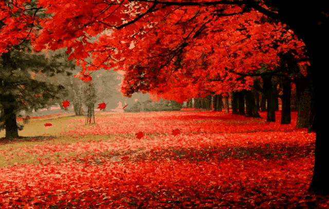 臻言,亦心:《山水唱情歌》 - 西瓜视频