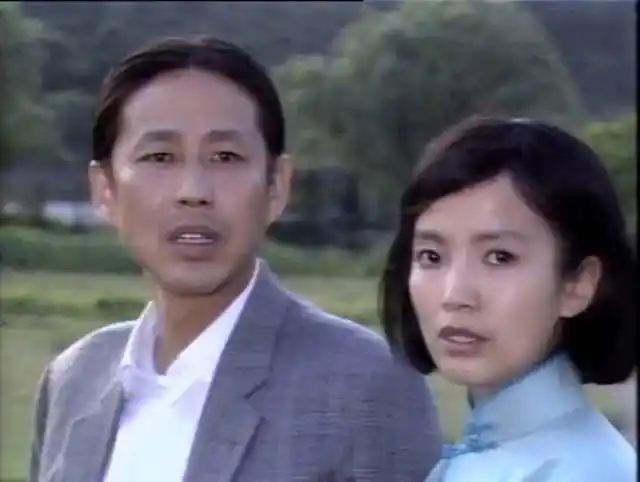 电视剧《围城》中国电视剧史上的经典,快30年了,至今无人敢重拍