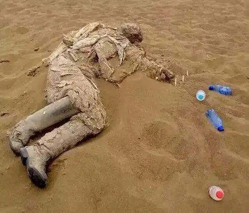 沙漠的新闻屡见不鲜,我想提醒各位驴友,千万不要进入塔克拉玛干无人区