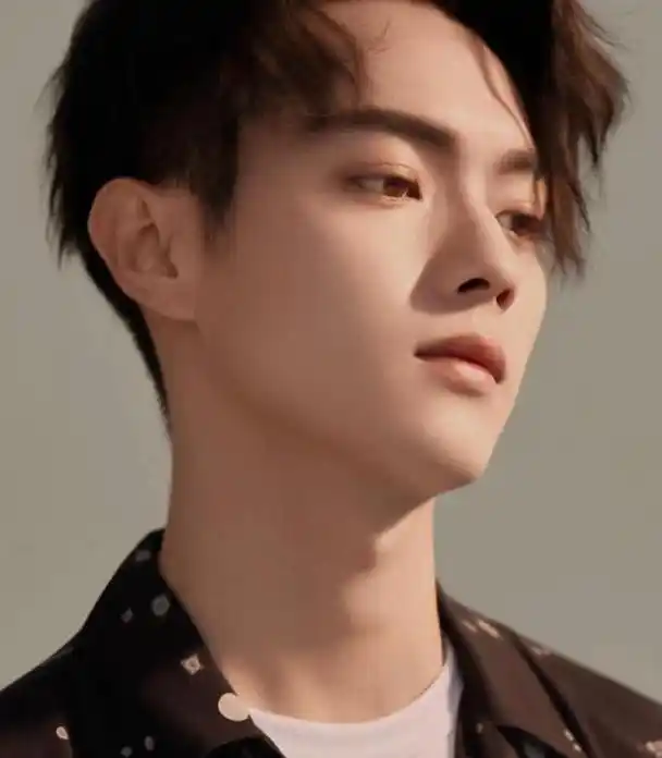 被许凯的"痞帅"迷住,霸榜2021的男明星,"中国审美"出圈了!