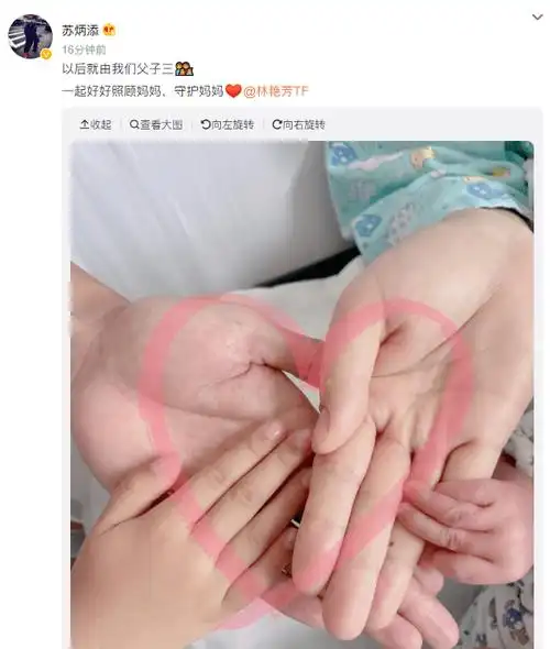 苏炳添官宣二胎得子!晒一家四口拉手照温馨甜蜜