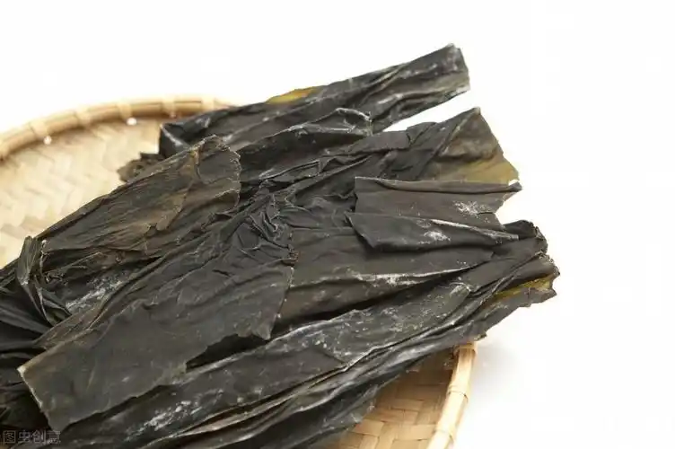 海带是昆布吗(昆布海藻的功效与作用)插图