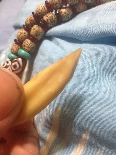 古玩带野猪牙的项链有什么寓意嘛